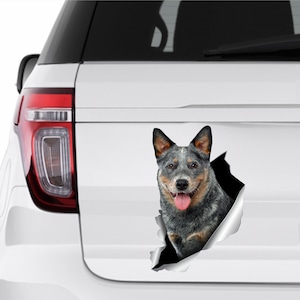 Blue Heeler sticker Auto sticker Australian dog Window sticker Cattle dog sticker Funny car decal Car decoration Car sticker Animals art 279 image 1