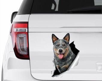 Blue Heeler sticker Auto sticker Australian dog Window sticker Cattle dog sticker Funny car decal Car decoration Car sticker Animals art 279