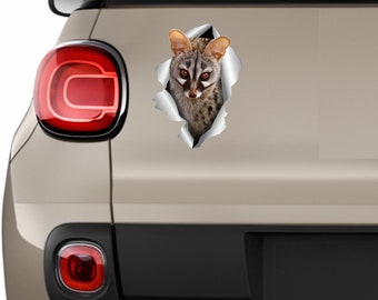 Geneta Car decal Geneta sticker Car stickers Wild cat sticker Car decals 3D stickers Geneta on hole Animals stickers Funny wild decal 374