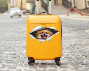 Pomeranian Dog decal Dog stickers Pomeranian stickers Сar sticker Vinyl decal Pet sticker Sticker toilet lid Sticker suitcase Fridge art 286