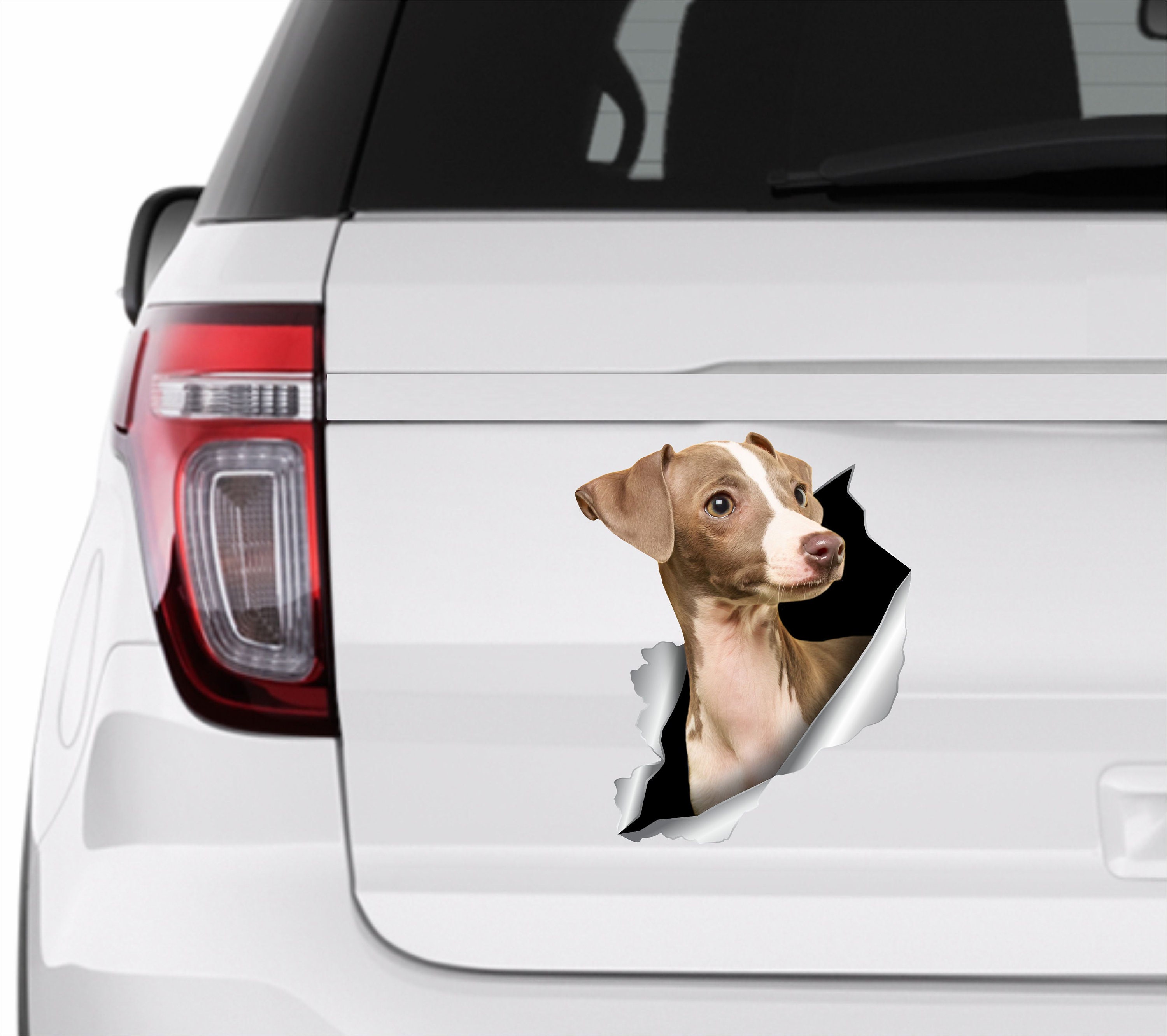 Greyhound Car Decal Car Sticker Italian Greyhound Stickers Dogs Sticker ...