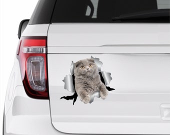 Gray cat stickerCar cat decal Car stickers Cat cat sticker Car decals 3D stickers Cat lady stickers Cat on hole Animals stickers Funny 365