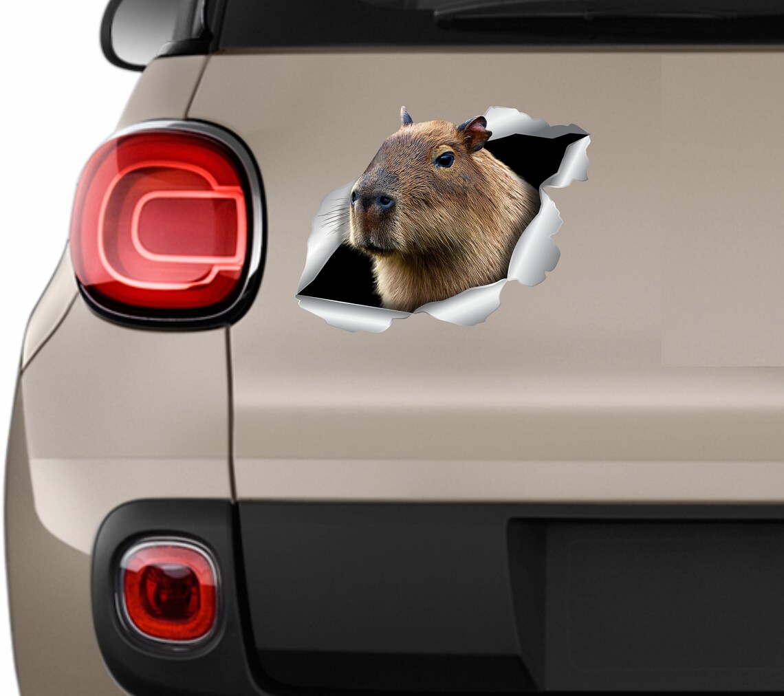 Capybara Sticker Capybara Car Sticker Capybara Sticker Car Decorations ...