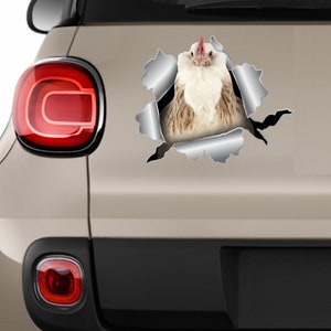 May include: A white chicken with a red comb peeks out of a torn piece of silver foil. The chicken is looking directly at the camera. The foil is ripped and torn, creating a dramatic effect. The chicken is a popular subject for car decals and stickers.