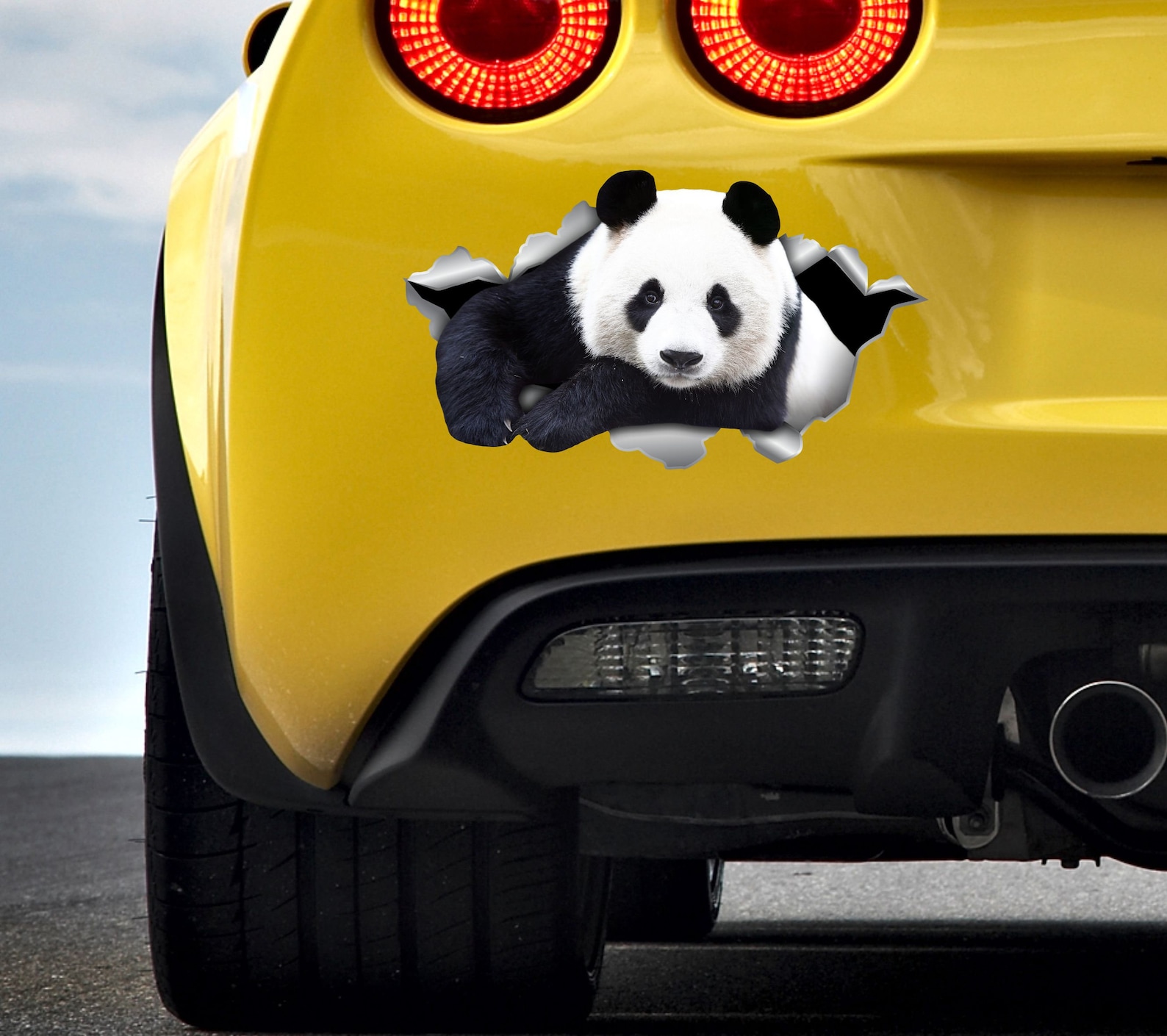 Panda Sticker Panda Decal Panda Bumper Sticker Cute Panda Etsy