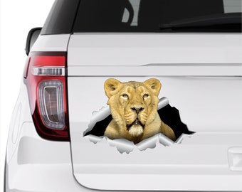 Lion sticker Lion car decal Laptop decal 3D sticker Vinyl decal Car decal Funny stickers Lion art Auto lion stickers Lion print Wildlife 172