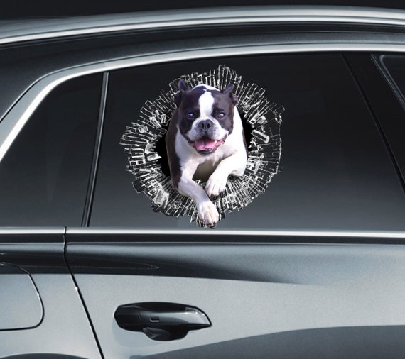 Boston Terrier Aufkleber Boston Terrier Fensteraufkleber Auto Aufkleber  Haustier Auto Aufkleber Lustige Sticker Auto terrier Aufkleber Lustige  Aufkleber Fensteraufkleber 306 - .de