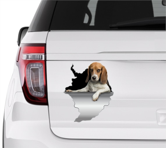 Adesivo per cani Decorazione per auto Adesivo per auto Adesivo per beagle  Decalcomania per beagle Adesivo per finestre Beagle Per auto adesivo per  auto Beagle Adesivo per cani Mamma 114 -  Italia