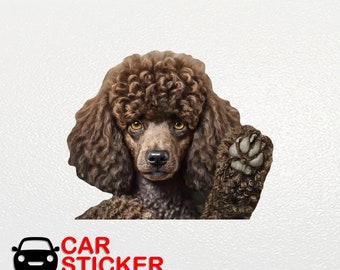 Dark Brown Poodle hello Poodle car sticker Poodle paws sticker Car decorations Poodle art stickers Funny sticker Poodle auto sticker 352
