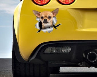 Chihuahua sticker Grommen Chihuahua stickers Chihuahua auto sticker Chihuahua auto print Lady auto sticker Meisjes auto accessoires Hond stickers 173