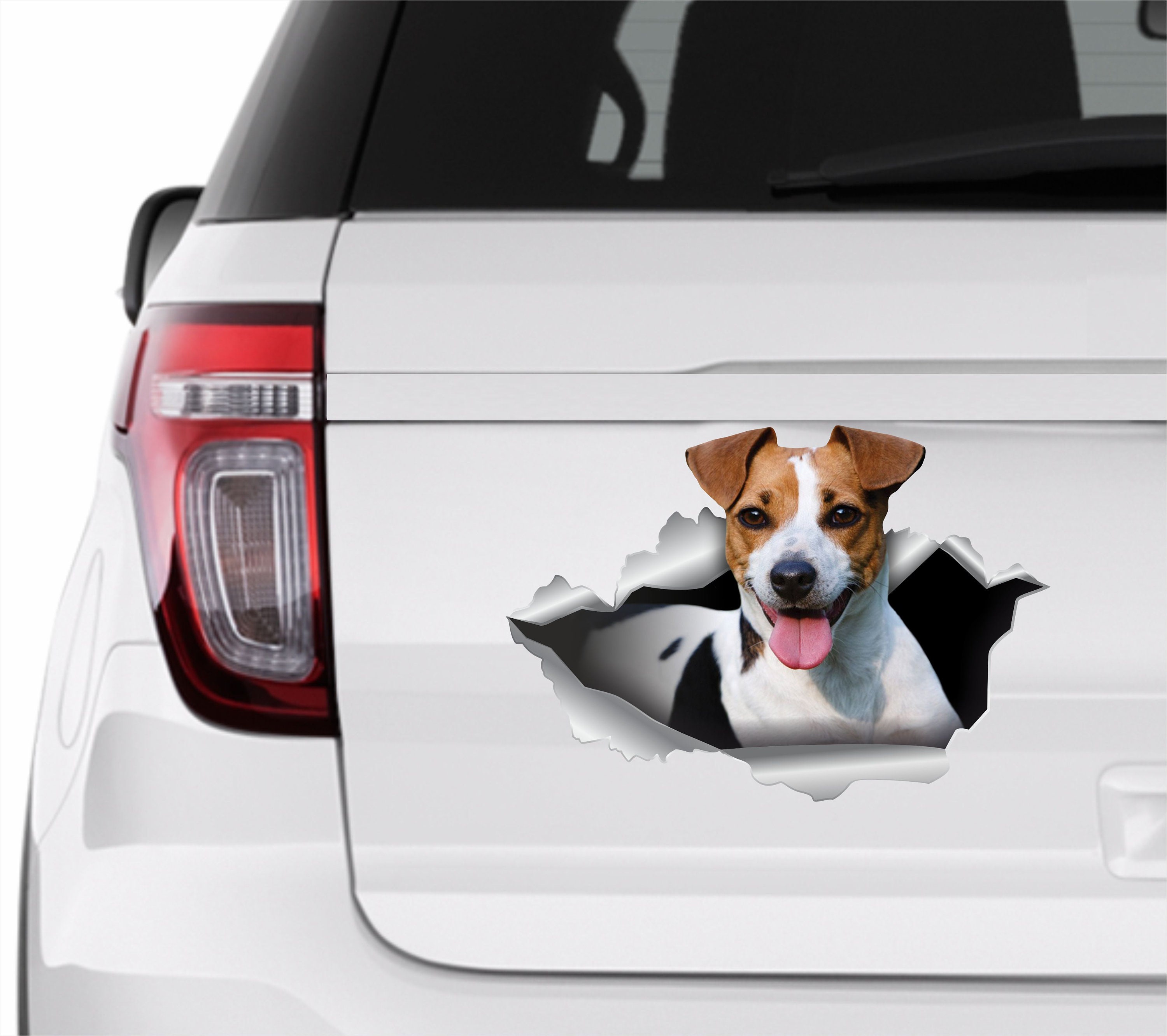 Adesivo Auto 3D Doberman Per Amanti Dei Cani - Adesivo In Vinile PVC Per Finestre E Paraurti