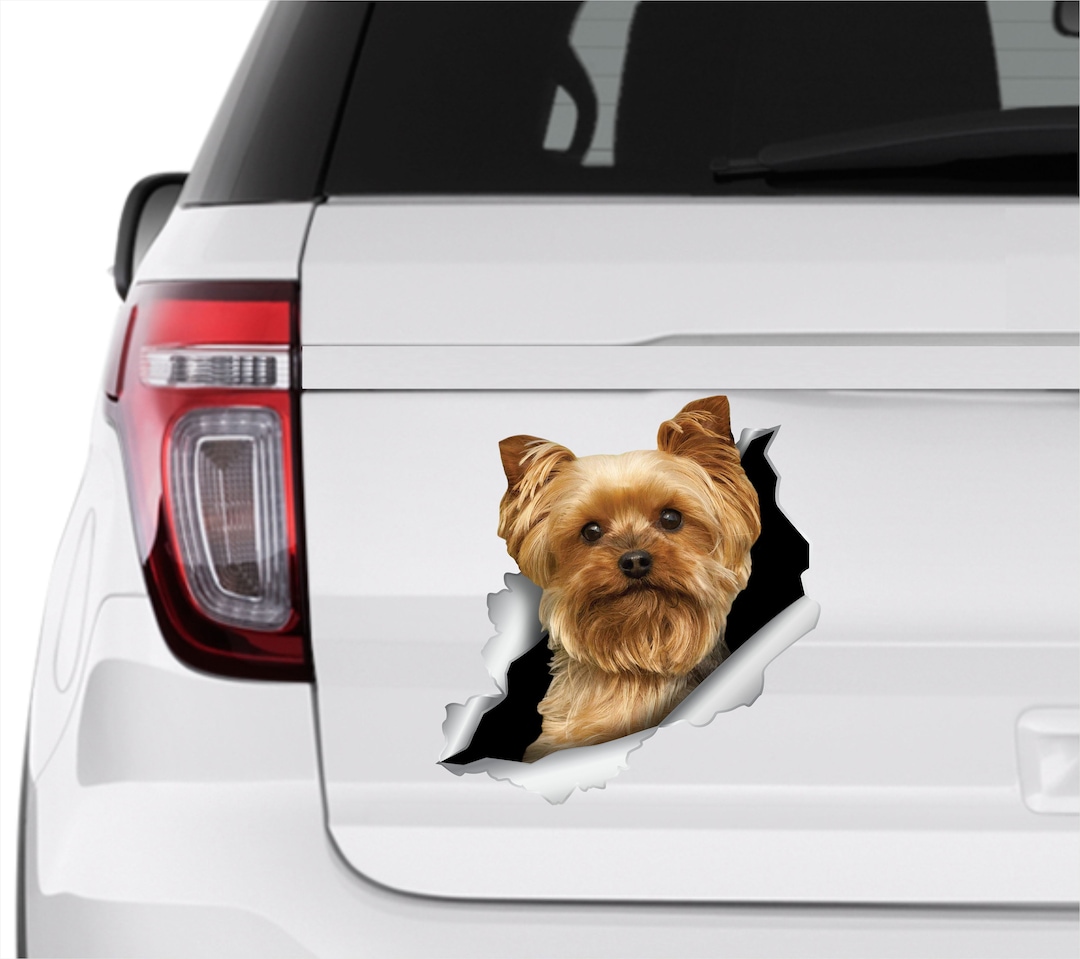 Yorkshire Sticker Yorkshire Car Decal Dog Yorkshire Terrier Car Sticker York Sticker Dog