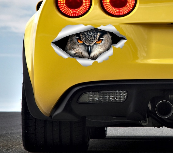Owl Car Sticker Horned Owl Car Angry Owl Sticker Birds Decal Etsy