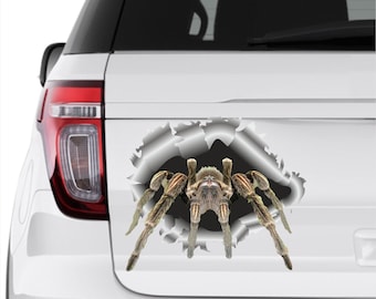 Sticker Spider stickers Car sticker Window sticker Car sticker Spider car decal Funny decal Tarantul sticker Cool sticker Vinyl sticker 22
