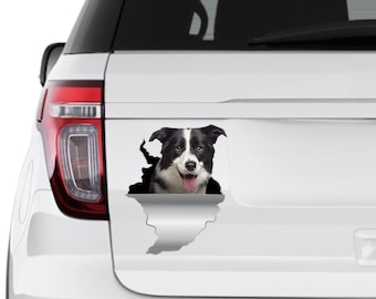 Adesivi Inter Adesivo Per Auto, 25 Cm (9,8 Pollici), Bordo Collie On Board Colla Paraurti Auto - 11