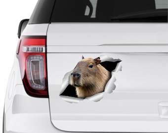 Capybara sticker Capybara Car sticker Capybara sticker Car decorations Capybara art stickers Funny sticker Capybara auto sticker 364
