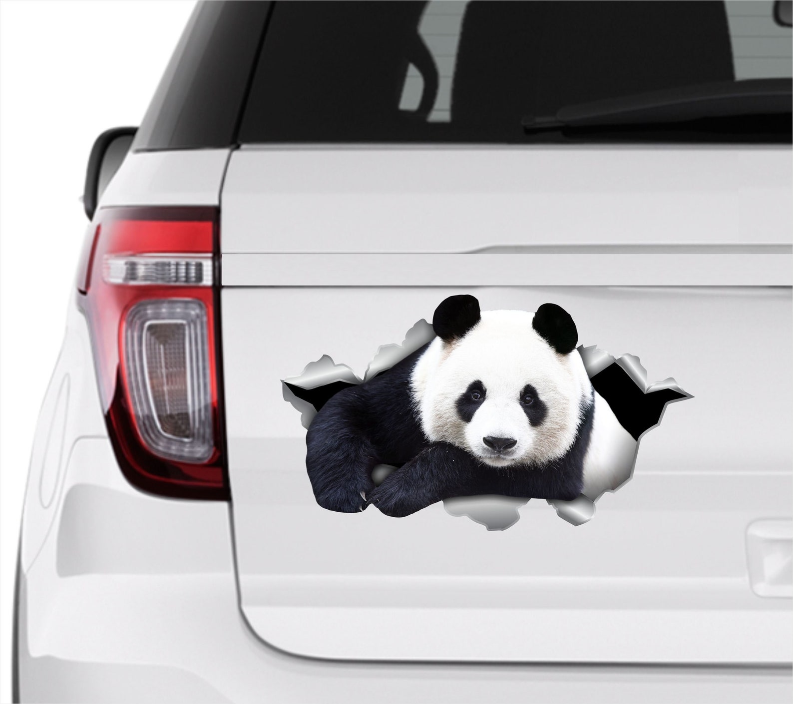 Panda sticker Panda decal Panda bumper sticker Cute panda Etsy