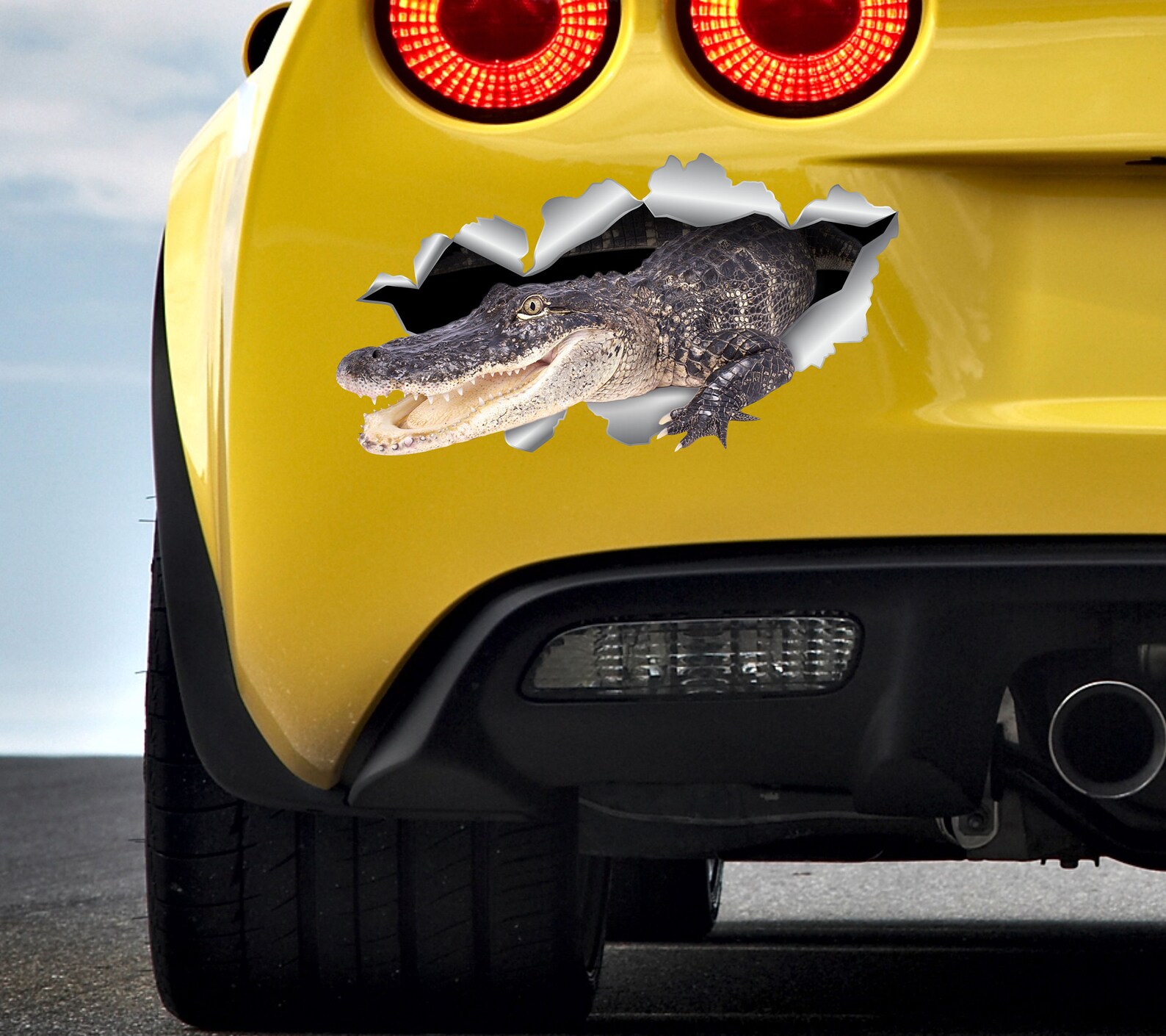 Car Sticker Alligator Sticker Car Decor Crocodile Sticker Etsy