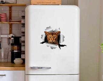Abyssinian cat magnet  Abyssinian cat Car sticker Car decal Abyssinian cat sticker Cat car sticker Cat car magnet Funny sticker 369
