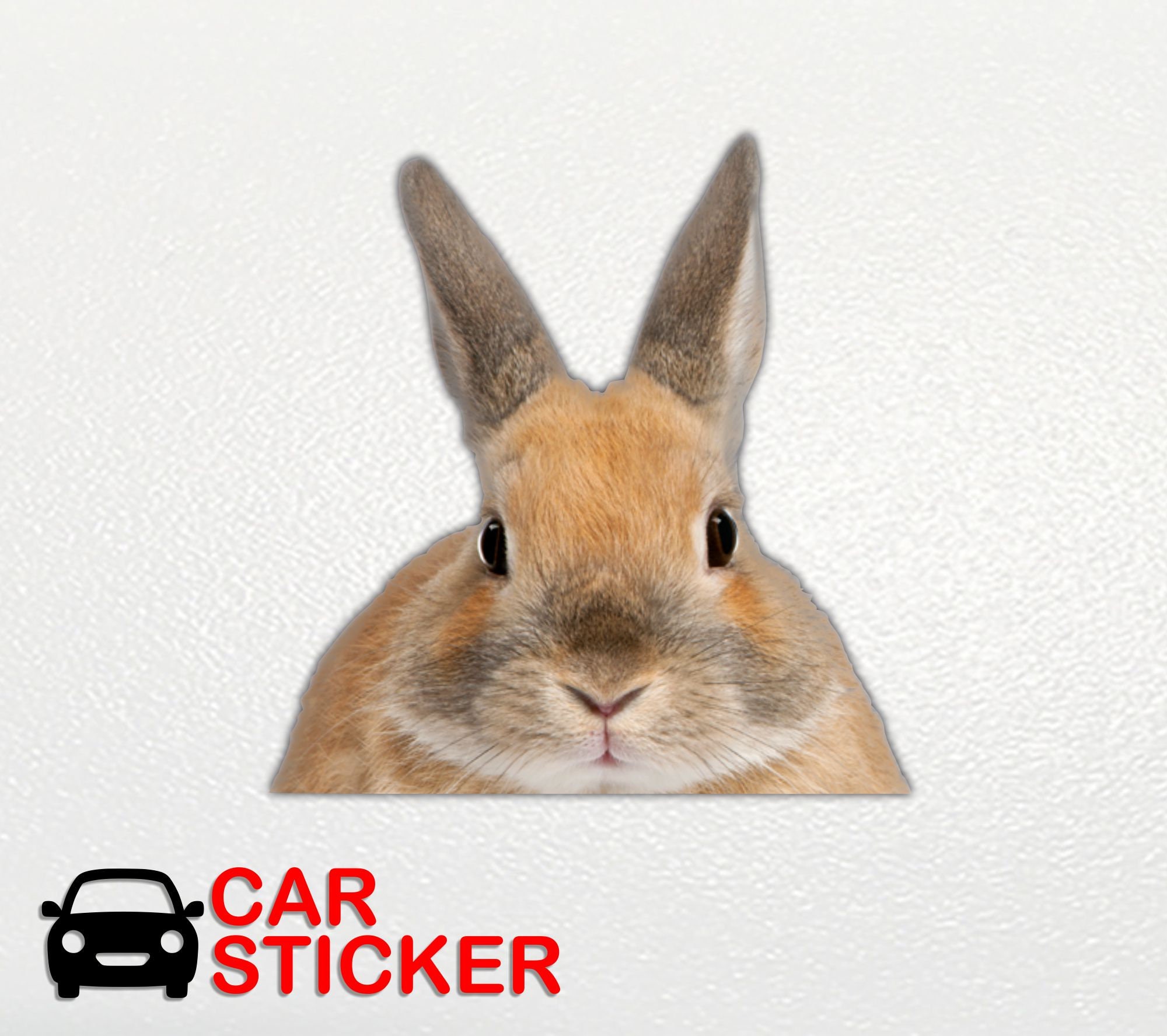 Rabbit Car Sticker Bumper Sticker Rabbit Sticker Rabbit Car Animal ...