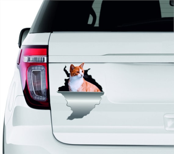 Car Sticker Cat Sticker Car Decal Vinyl Sticker Cat Lady Cat | Etsy