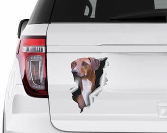 Car stickers Azawakh dog sticker Car sticker Azawakh art decal Car decorations Azawakh dog stickers Funny stickers Azawakh auto sticker 348