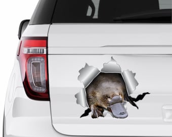 Platypus sticker Car sticker Platypus car decal Platypus decal Auto sticker Platypus art sticker Cute sticker Duck decal Window platypus 261