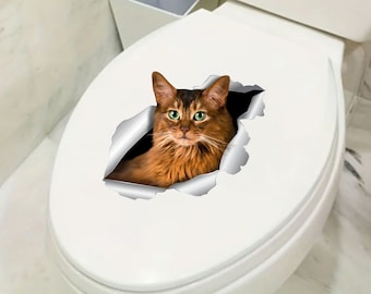 Somali cat magnet Somali cat frigge Car sticker Car decal Somali cat sticker Cat car sticker Cat suitcase magnet Funny sticker on bowl 371