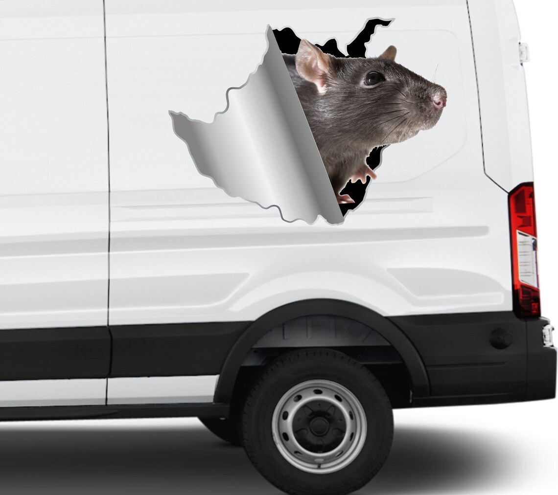 Rat Sticker Car Sticker Mouse Sticker Vinyl Sticker Pet Rat Decals Rat ...