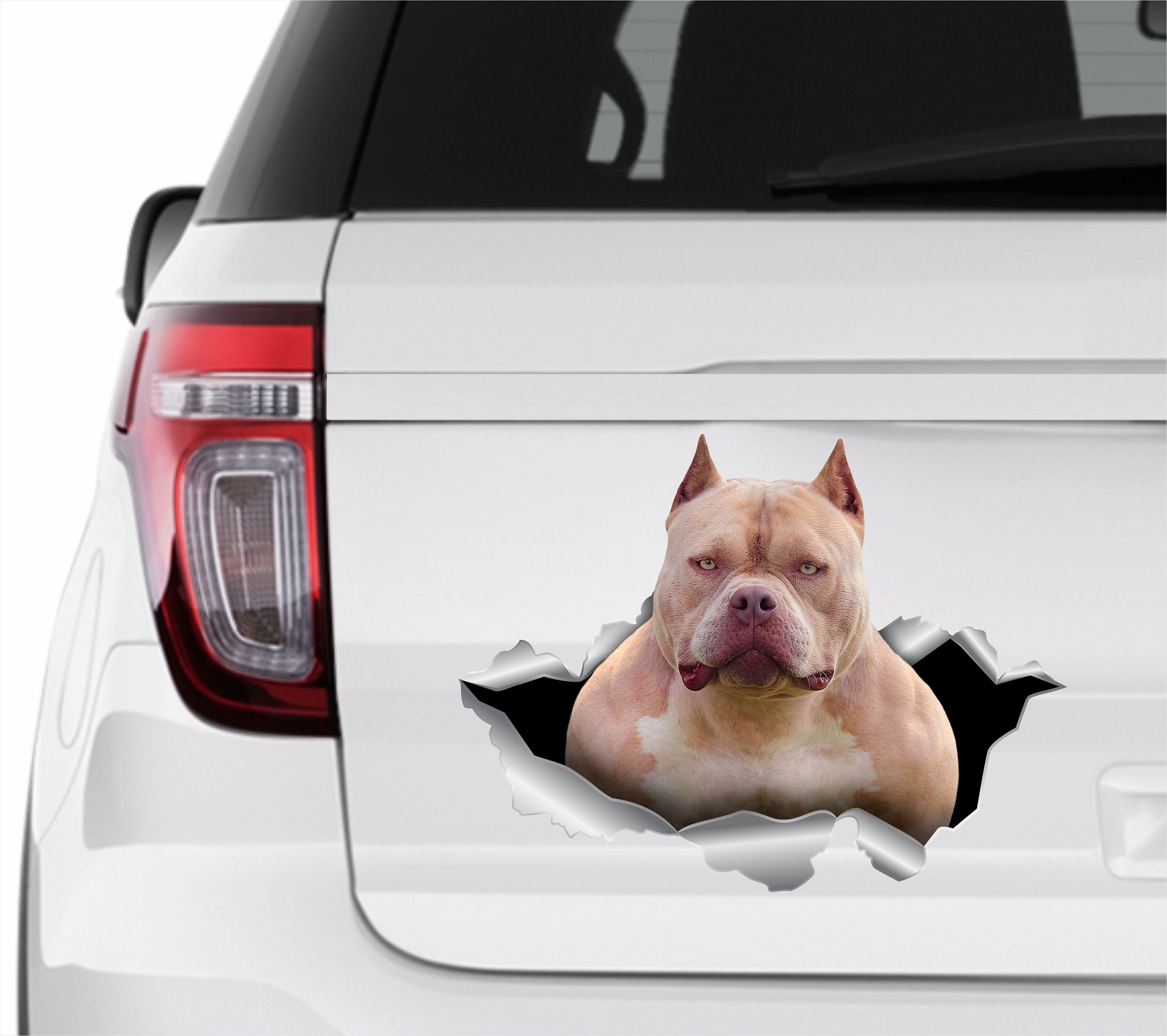 Pitbull car decal hotsell