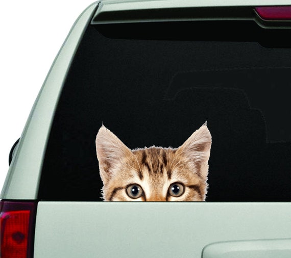 Magnet for Sale mit Lustige Haustier Katze Auto Aufkleber