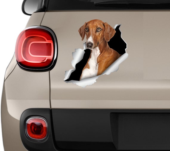 Hund Azawakh Auto Sticker Azawakh Aufkleber Hundeaufkleber Azawakh