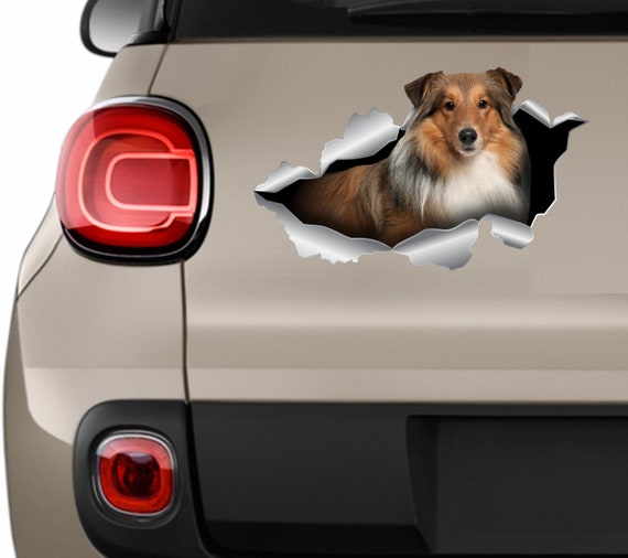 Sheltie Aufkleber Hund Aufkleber Sheltie Auto Aufkleber Sheltie Auto Deko  Auto Deko Auto Aufkleber Sheltie Print Geschenke Vinyl Aufkleber 235 -   Österreich