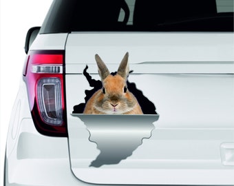 Rabbit 3d sticker Decal sticker Cute sticker Animals sticker Car print Domestic animals Wall sticker Rabbit decal Rabbit 3d Cool rabbit 10