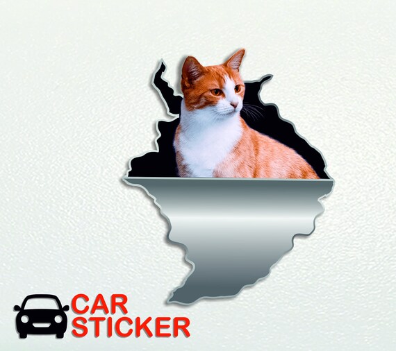 Tigerkatze Hauskatze Kitty Auto Aufkleber Autoaufkleber Sticker