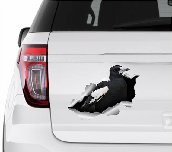 Car stickers australia deals