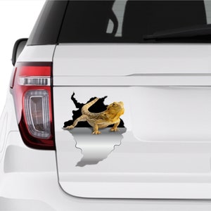 Puede incluir: Una calcomanía para coche que representa un lagarto barbudo rompiendo una pared. El lagarto es de color beige y amarillo, con una textura detallada. El diseño crea la ilusión de que el lagarto emerge de un agujero en la superficie del coche.