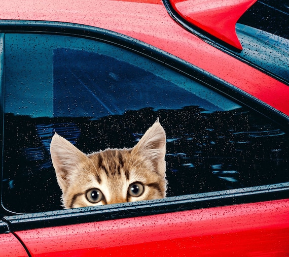 Stickers Voiture Chat, 2 Pièces Mignon Autocollant Chat Voiture