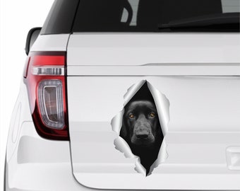 Labrador sticker Black labrador decal Car sticker labrador Labrador car sticker Funny decal Labrador stickers Labrador auto sticker 312