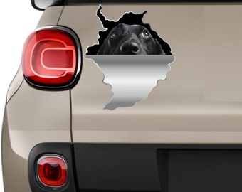 Vinyl sticker Dachshund sticker Black Dachshund Present for him Dachshund Dachshund gift Dachshund lover Doxie sticker Dachshund dog 3d 15