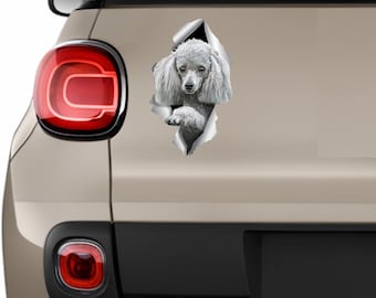 Silver Toy Poodle stickers Car sticker Silver Toy Poodle Dog sticker Bumper sticker Vinyl stickers Silver Toy Poodle Windows stickers 356