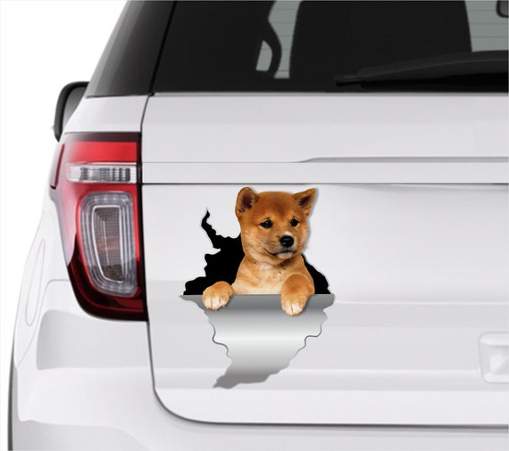 Shiba Inu Aufkleber Sticker Hunde Haustier Aufkleber Lustige Hunde Aufkleber  Shiba Inu Aufkleber Autoaufkleber Autoaufkleber Autoaufkleber Laptop  Sticker Japanischer Hund Aufkleber 20 - .de