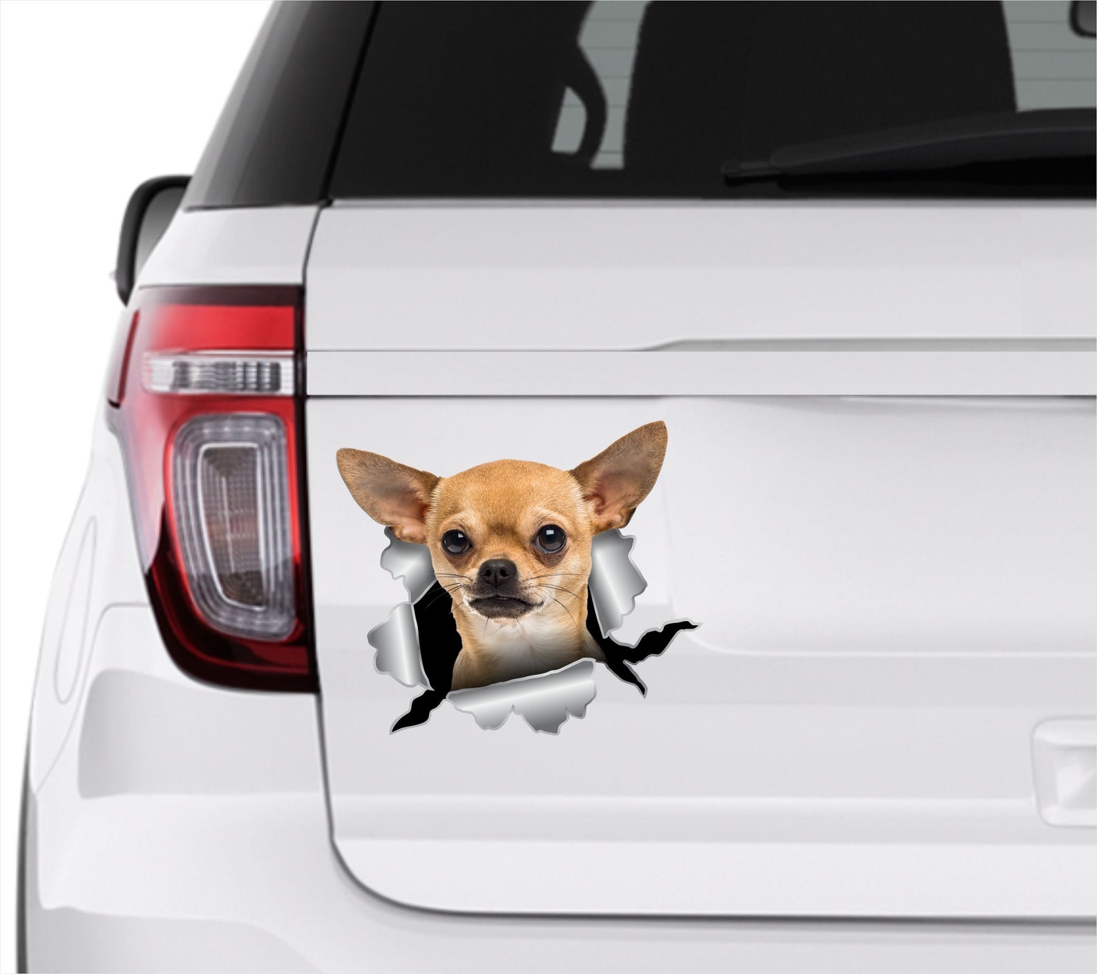 Chihuahua sticker Growling Chihuahua stickers Chihuahua car | Etsy