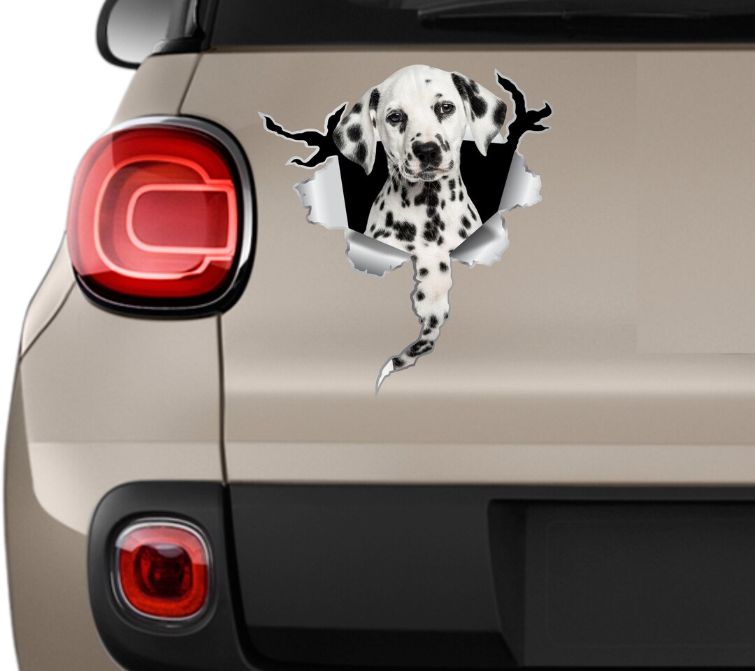 Dalmatian Sticker 3d Stickers Car Sticker Car Dalmatian Decal Dog Stickers Dalmatian Decal White