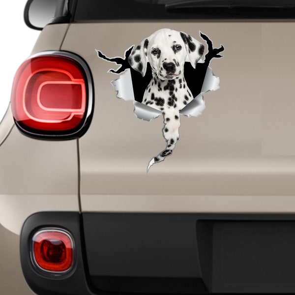 Dalmatian sticker 3d stickers Car sticker Car dalmatian decal Dog stickers Dalmatian decal White Black dog Cute dog sticker Kids decals 127