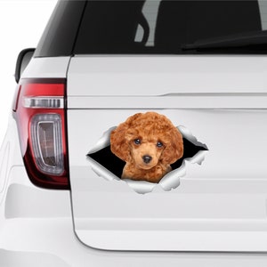 Toy Poodle sticker Toy Poodle car sticker Redhead poodle decal Toy Poodle decal Cute poodle Poodle Dog sticker Poodle lover Toy Poodle 330 image 1