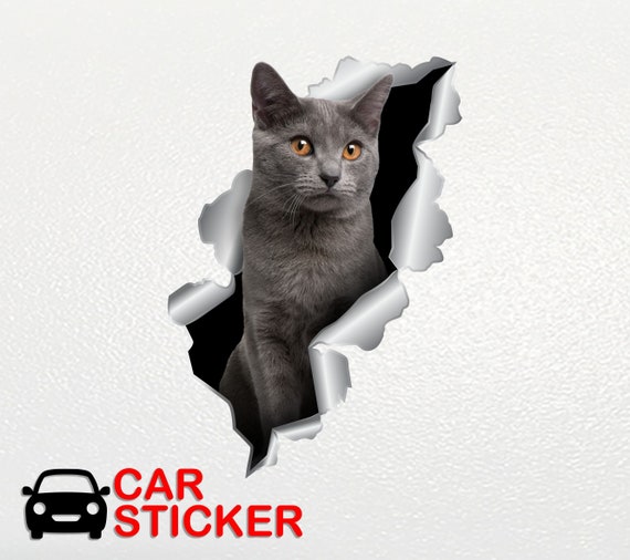 Adesivi Auto Gatti Riflettenti - Coppia, 18x11 Cm, Decorativi E Sicuri Per Notte - Foto 7