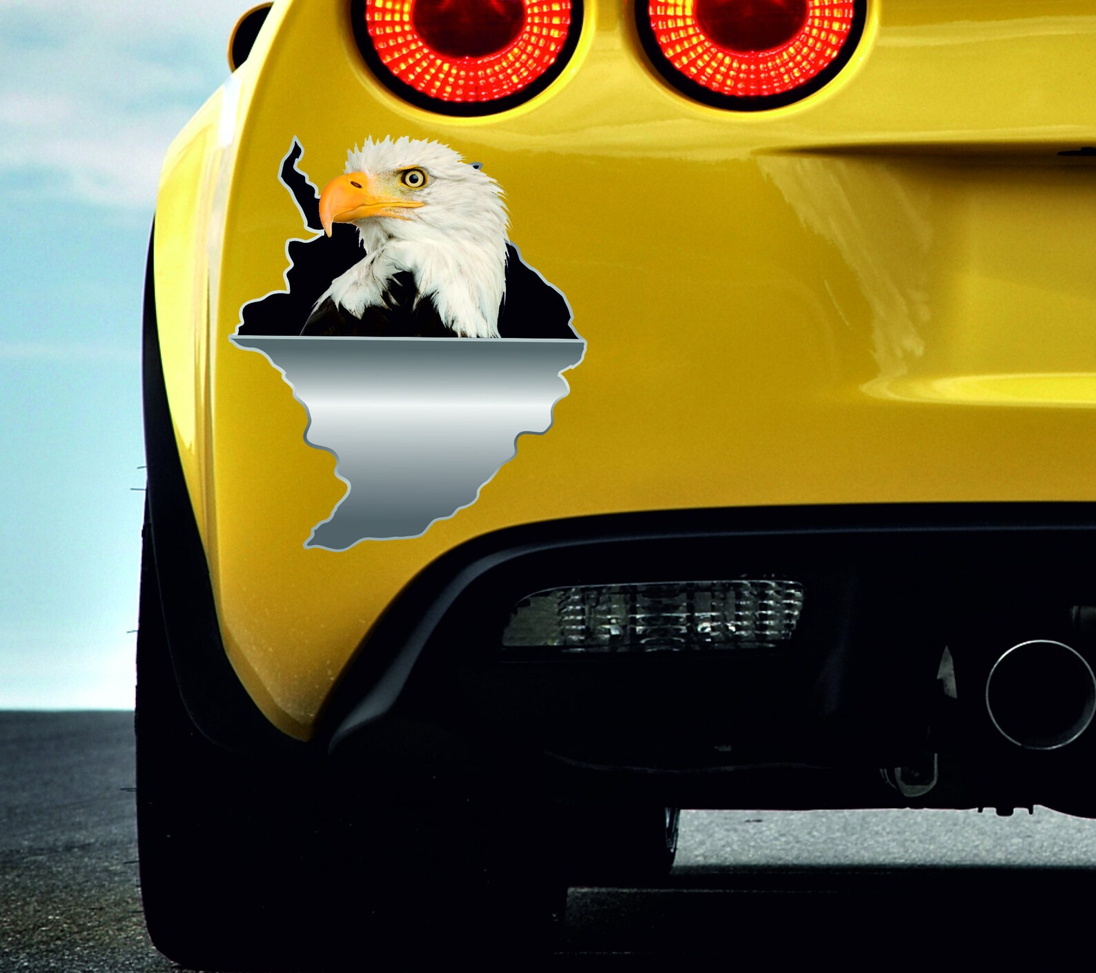 Bumper Sticker Window Sticker Eagle Sticker Eagle Decal Etsy