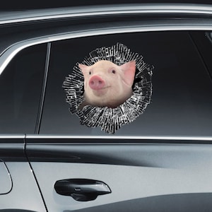 May include: A white pig's head is seen through a broken car window. The pig is looking directly at the camera with a surprised expression. The broken window is shattered into many pieces.