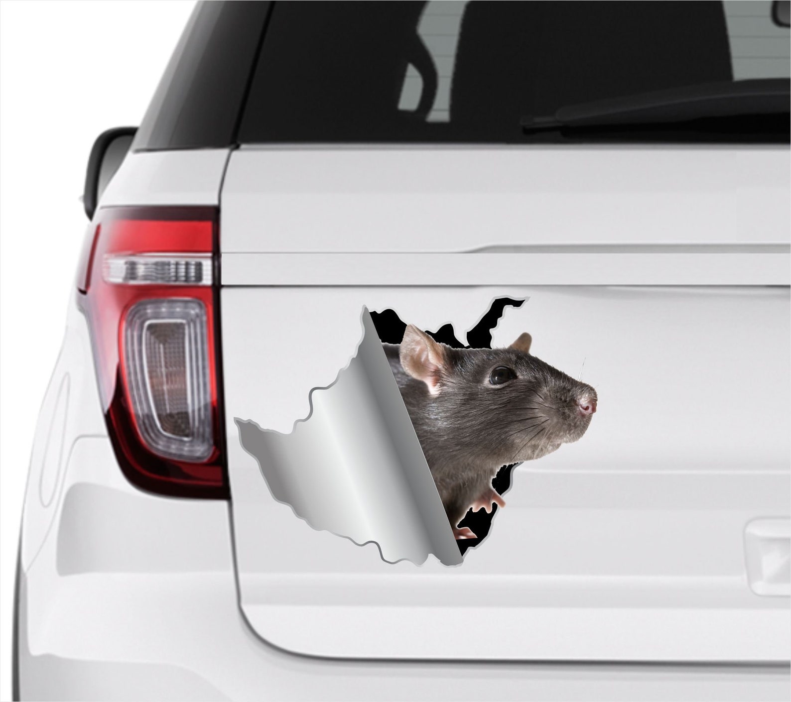 Rat Sticker Car Sticker Mouse Sticker Vinyl Sticker Pet Rat Decals Rat ...